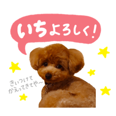 Yukari_20230215202537