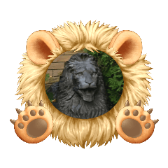 Lion_20230215172222