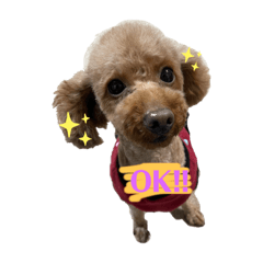 @amtp_20230215184729