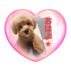 omochi_20230215215324
