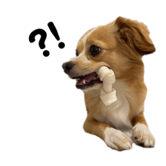 Mizuki_20230215215157