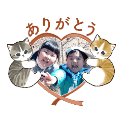 waiwai.c_20230215200840