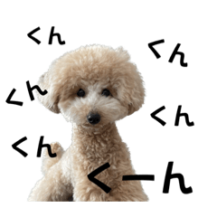 shiho_20230215200454