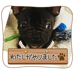 yun_20230216114825