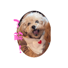 maron_chappy_20230216