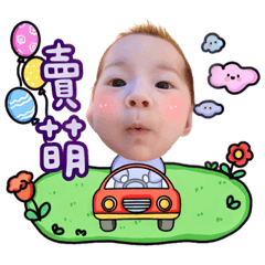 小薯條(小黃金)專用No.2