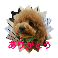 yuka_20230215230537