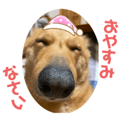 konatsu_20230216105245