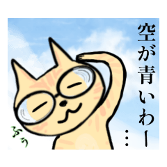 makif_nearsighted cat