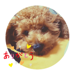 yuka_20230216003014