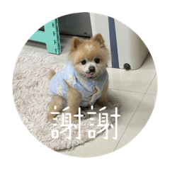 Yani_20230216095750 – LINE stickers | LINE STORE