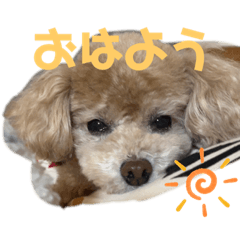 arisa_20230216141430