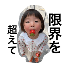 Hikari_20230216144629