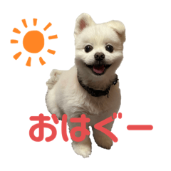 msk_20230216153825