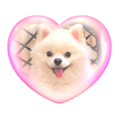 omochi_20230216164435