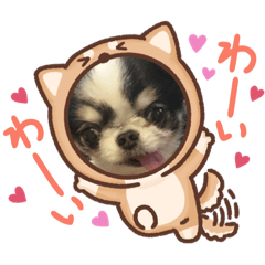 nao_20230216202540