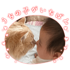 Suzu_20230216170548