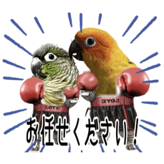 Jack_20230216155741