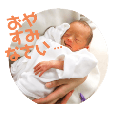 shiho_20230216184950