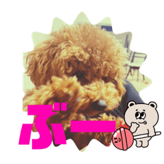 yuka_DOG4