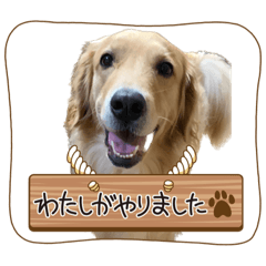 aoi_20230216193512