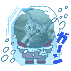 kana_20230216195514