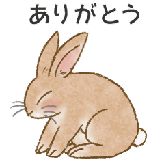 Fluffy brown rabbit