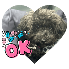 yukaDOG5