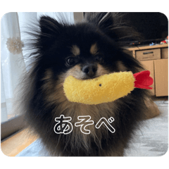 smile_20230216215315