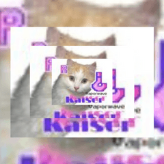 Kaiser-Vaporwave