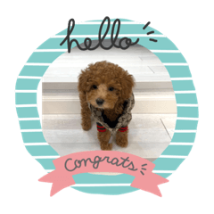 pdawtl_20230217140906