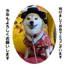 Hana_20230217153036