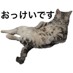 SAYURI_20230217155915