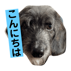 TOIBEEKENHANA