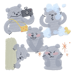 Transparent Grey Bear