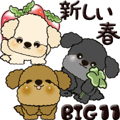 【Big】プードル犬 11『それぞれの春』