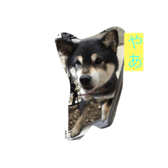 めりーーーーーー！