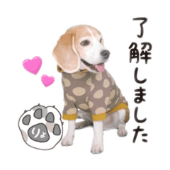 yun_20230217180159