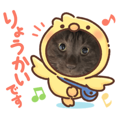 Smile_20230217235423