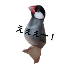 natsumi_20230218152157