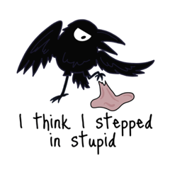 The Life of Grumpy Crow