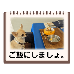 puku_20230218171930