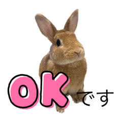 MofuMom_20230218172043