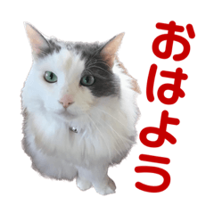 Arisa_20230218191633