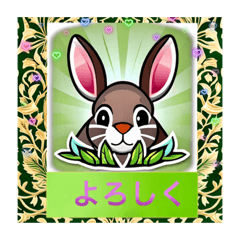 Bunny Go