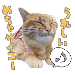 かいたんたんたん 2023.02.17