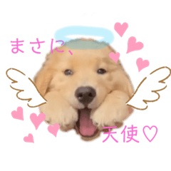 茶太郎ちゃちゃちゃ♡♡