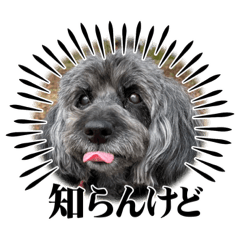 Kaede_20230218215556