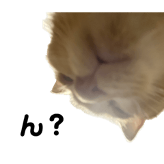 Hana_20230218234934