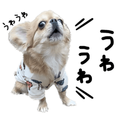 hana_20230218235449